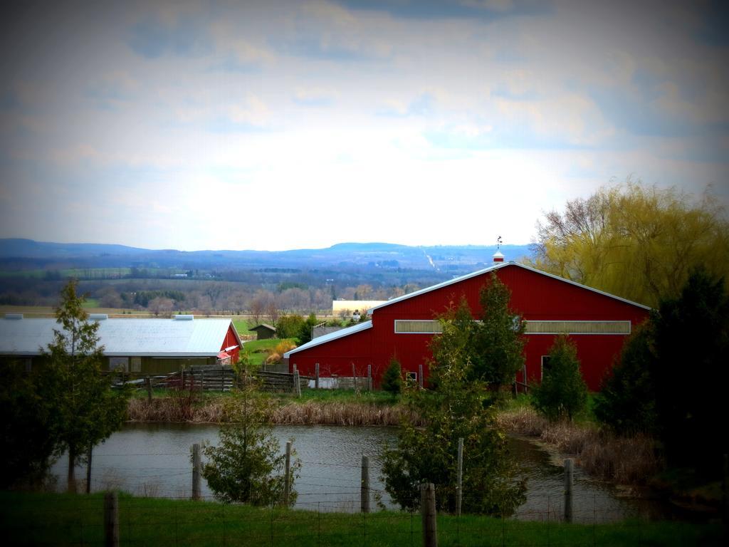 Heathcote Haven Bed & Breakfast Clarksburg Bagian luar foto